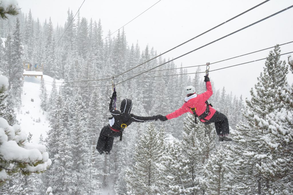 Two people zipline through a snowy forest, wearing winter gear. They hold hands mid-air, surrounded by snow-covered trees and a wintry landscape.