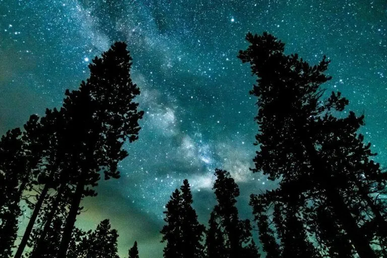 ボブ・ディランStars from the Darkest Night 2CD Colorado Has a New 'Darky Sky' Park