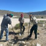 people dinging up plants.