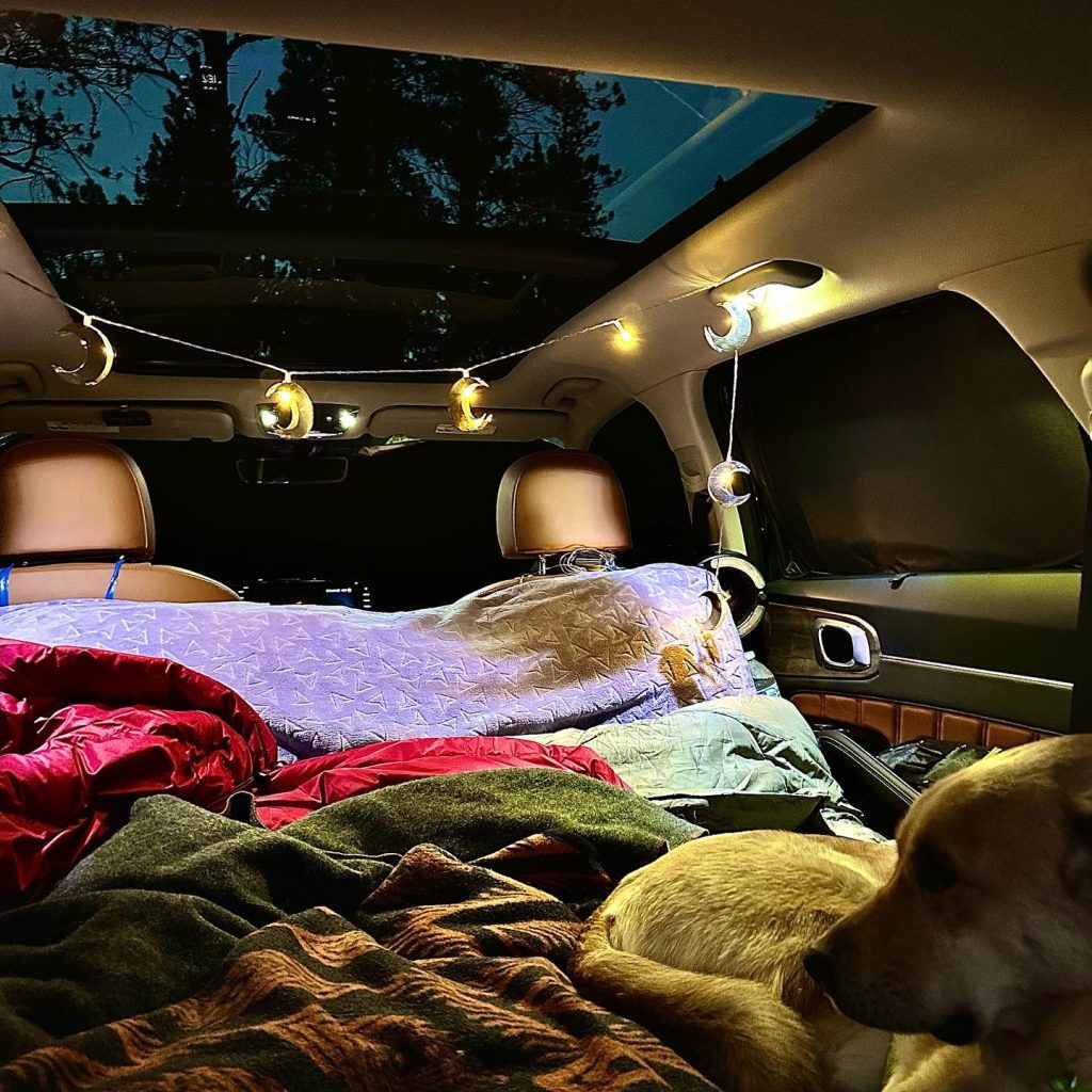 Car camping at night with dog visible through moon roof under dark starry sky