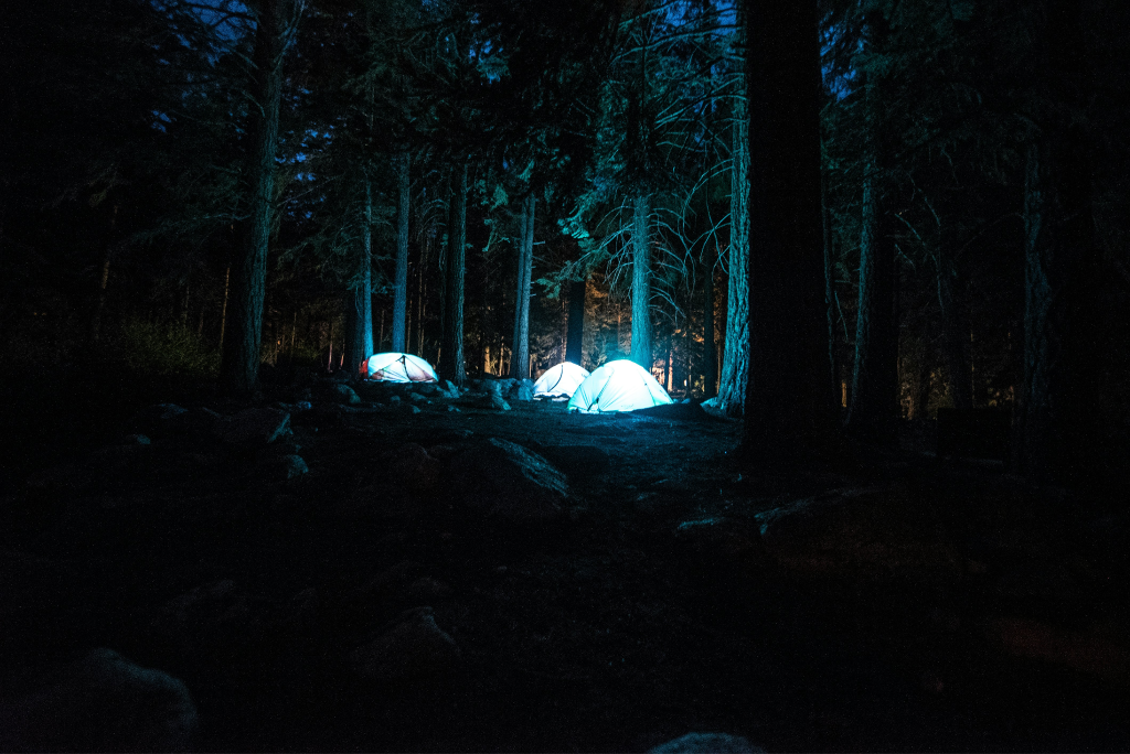Tents glowing with colorful light at night in a forest campsite